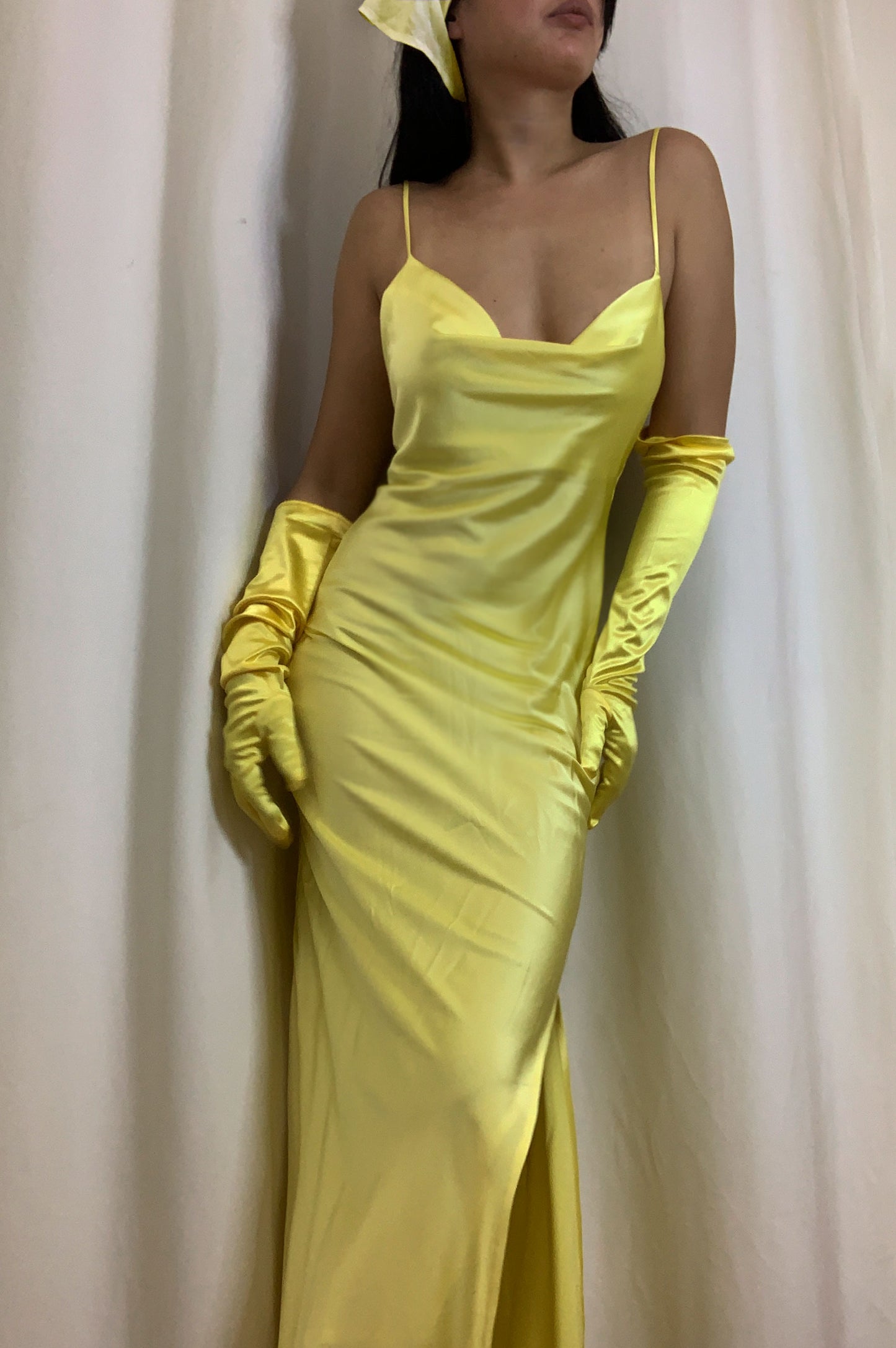 Crystal Lemon Mulberry Silk Dress